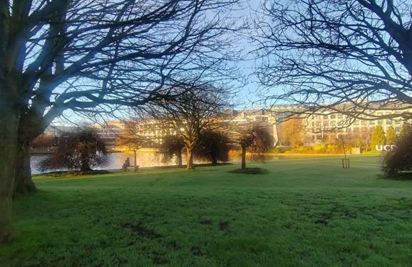 56cb778ea98225cae5c0efe1881a0d2